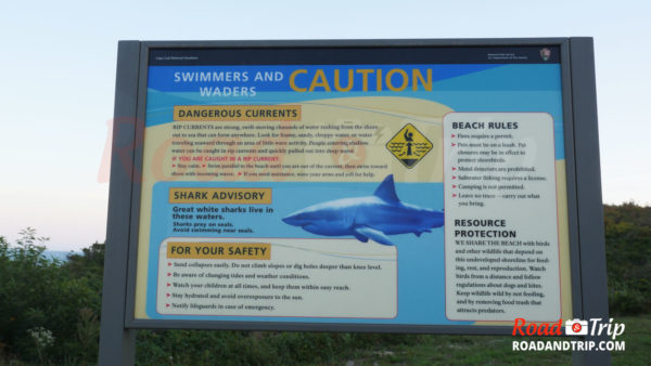 Attention aux requins pour la baignade