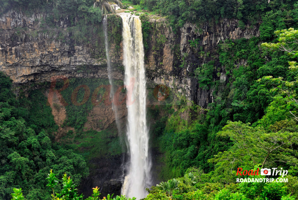 Randonnée dans les de Rivière Noire à l'île Maurice