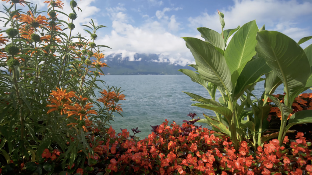 Lac Léman à Montreux