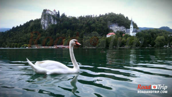 Lacs de Bled en Slovénie