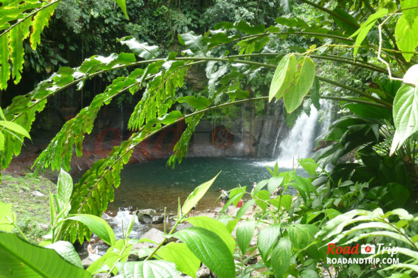 Le Parc National de la Guadeloupe