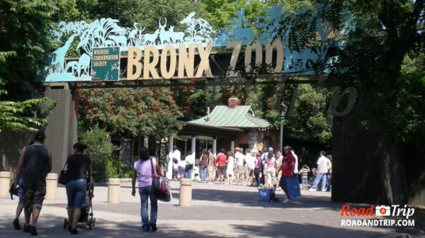 Le Zoo du Bronx
