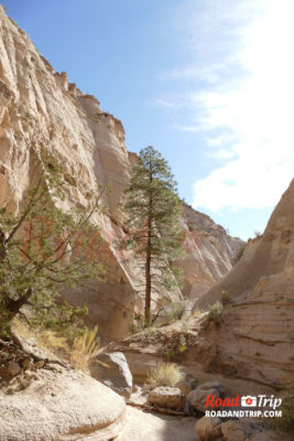 Le canyon de Tent Rocks