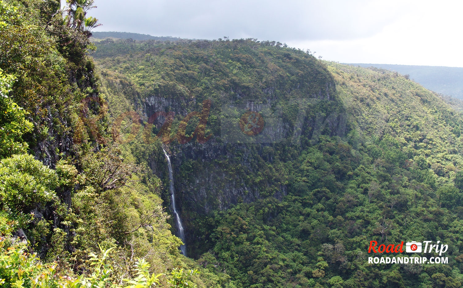 Randonnée dans les de Rivière Noire à l'île Maurice