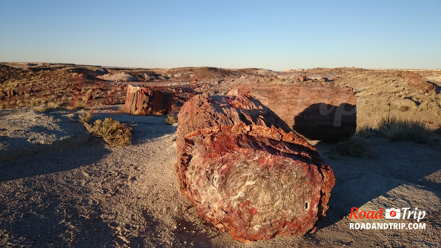 Balade à Petrified Forest en Arizona