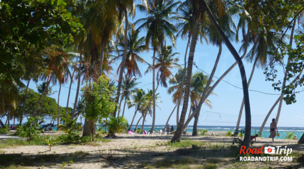 Plage idyllique à Marie-Galante