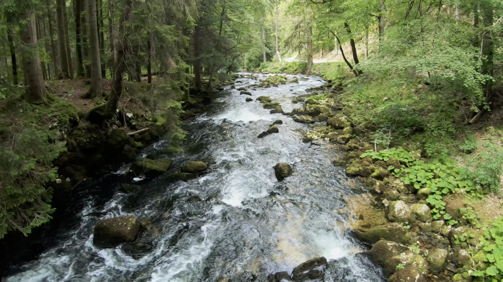 Rivière dans le Parc Jura Vaudois