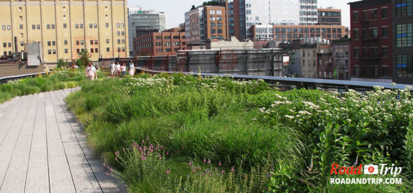 The High Line