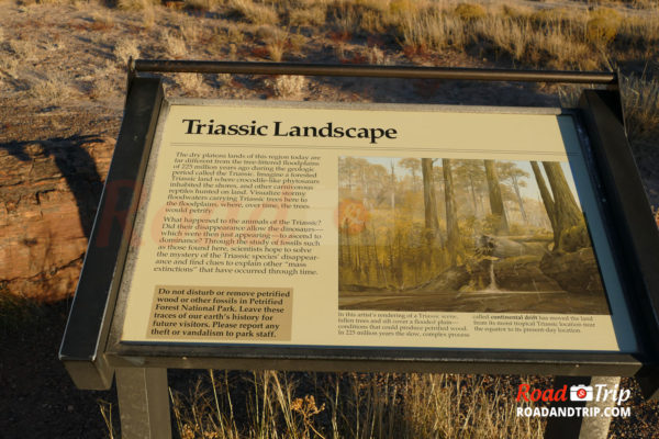 Triassic Landscape à Petrified Forest