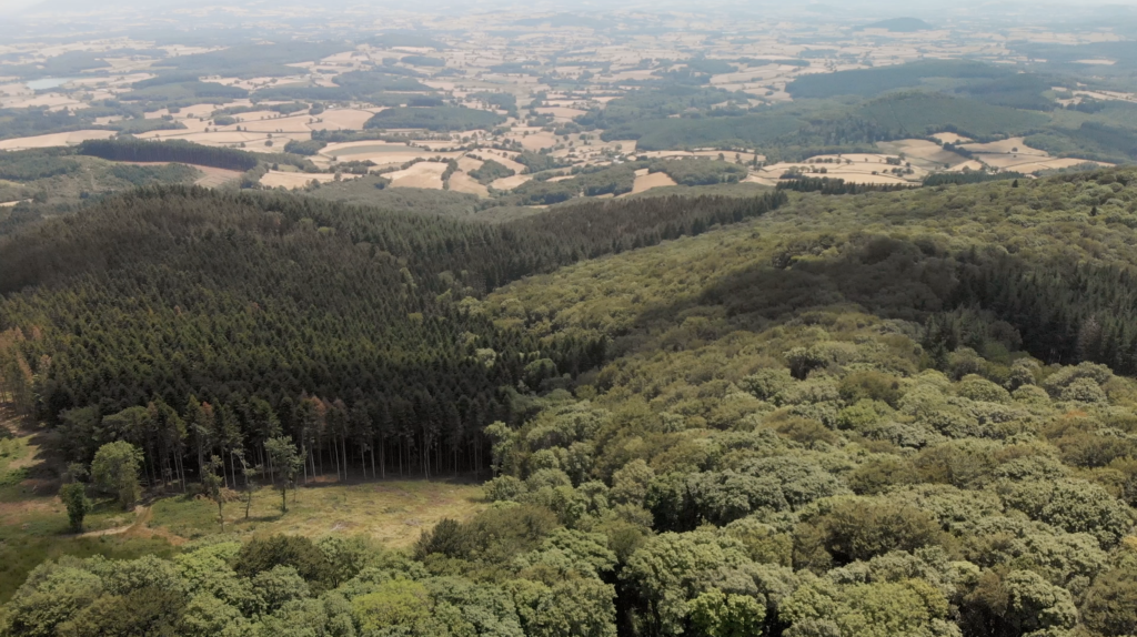 Vue aérienne du Mont Beuvray