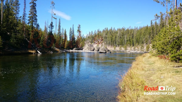 Yellowstone